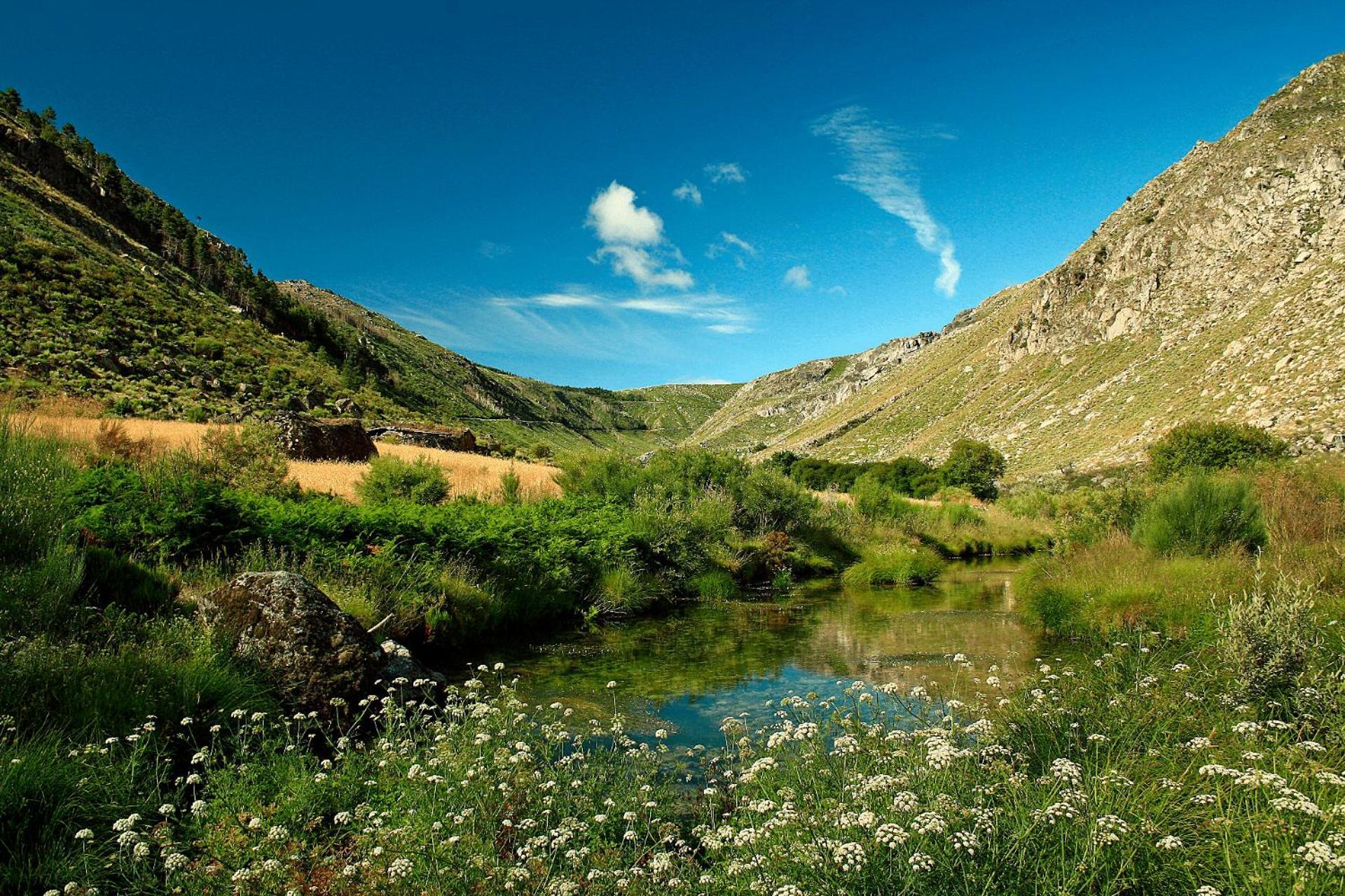 Mountain Lodge T3 Duplex Abrigo Do Lobo Covilhã Екстериор снимка